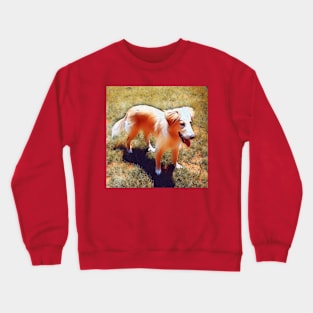 Stunning Golden Retriever Crewneck Sweatshirt